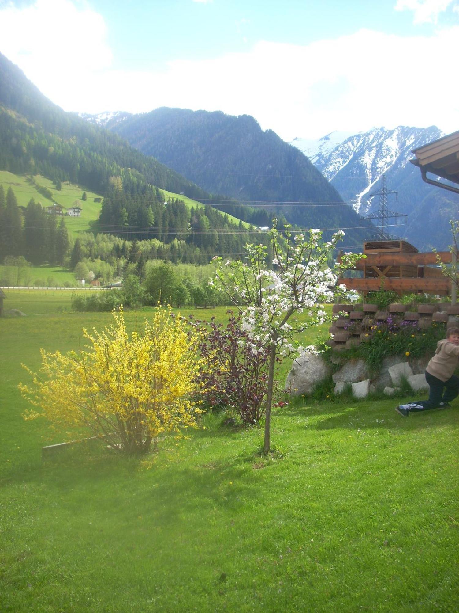 Familienferienwohnung Manuela Scherer Neukirchen am Großvenediger 外观 照片