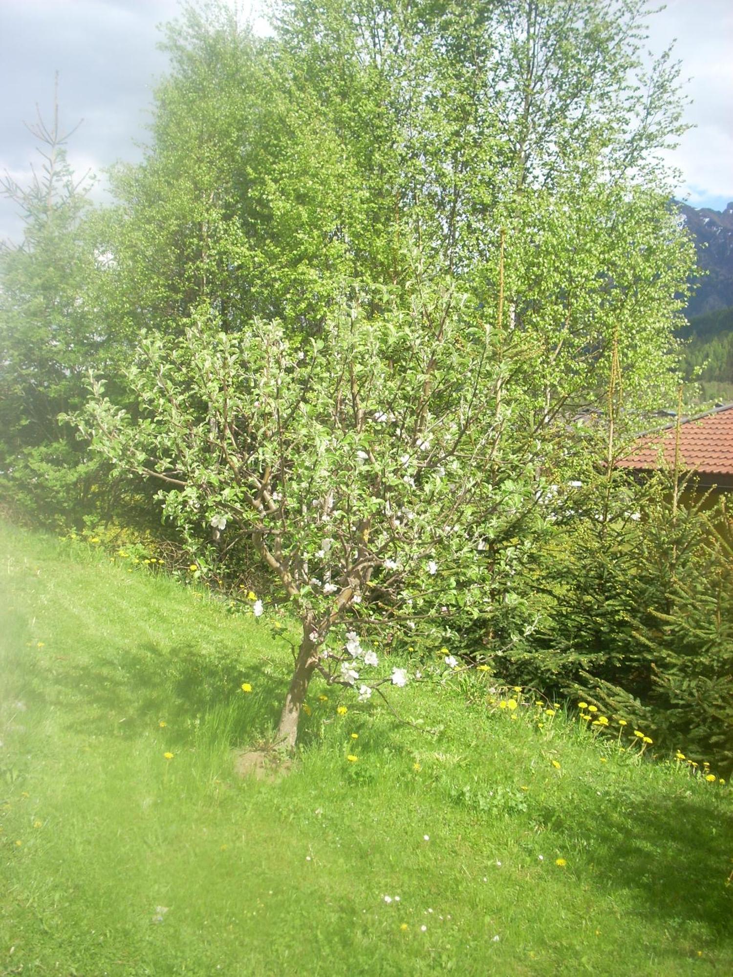 Familienferienwohnung Manuela Scherer Neukirchen am Großvenediger 外观 照片
